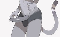 2017 anthro clothing erection feline glacierponi humanoid_penis male male_only mammal notglacier penis precum presenting silvermist_(notglacier) simple_background solo standing underwear