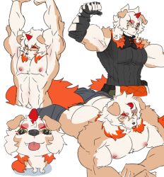 1boy abs arknights arms_up ass bara biceps black_gloves black_shirt closed_mouth colored_tips commentary english_commentary fang_out furry furry_male gloves highres horns hung_(arknights) komainu_boy komainu_ears komainu_tail looking_at_viewer male_focus multicolored_hair multiple_views muscular muscular_male navel nipples oerba_yun_fang pectorals shirt single_horn sleeveless sleeveless_shirt smile stretching tongue tongue_out topless_male white_background wlf31455254