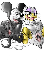 2girls after_masturbation after_sex almonds_(artist) animal_genitalia anthro avian bird breasts clitoris cloaca creampie cum daisy_duck disney duck duo eyeshadow female_only finger_lick flat_chested furry half-closed_eyes legs_up licking lying makeup mammal minnie_mouse mouse nipples on_back pussy pussy_juice rodent simple_background soft_feathers tongue tongue_out white_background