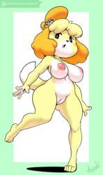 2017 4_toes absurdres animal_crossing animal_ears anthro argento artist_name barefoot bell black_eyes blonde_hair blush blush_stickers border breasts canine collarbone dog_ears dog_tail feet female full_body fur furry furry_only green_border hair_bell highres isabelle_(animal_crossing) large_breasts legs_apart logo looking_to_the_side mammal naked navel nintendo nipples no_humans nude open_mouth pussy shih_tzu short_hair signature simple_background solo solo_female standing standing_on_one_leg tail text thick_thighs toes url white_background wide_hips