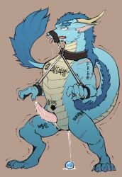 absurd_res anal_juice anal_juice_drip anal_juice_string animal_genitalia animal_penis anthro blue_body blush blush_lines bodily_fluids body_writing bondage cetacean_genitalia cetacean_penis collar cuff_(restraint) cum_dripping_from_penis dragon drooling eastern_dragon egg embarrassed erection eye_roll facial_piercing genitals hi_res korean_text male male_focus male_only malesub muzzle_(object) mythological_creature mythological_scalie mythology nose_piercing nose_ring penis piercing restraints ring_piercing saliva scalie scar shackles shaking side_view simple_background slave solo solo_male standing submissive_male tapering_penis text tongue tongue_out wowow0214