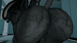 20th_century_studios 3d alien alien_(franchise) alien_girl ass big_ass female female_only sfm skulltronprime969 tagme xenomorph