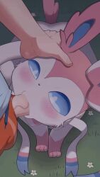 1boy 1girls 2d animated blowjob blue_eyes dakkoku_jiro eeveelution fellatio female feral feral_penetrated hand_on_head male mp4 nintendo no_sound pokémon_(species) pokemon pokemon_(species) pokephilia shorter_than_10_seconds straight sylveon tagme vertical_video video zoophilia