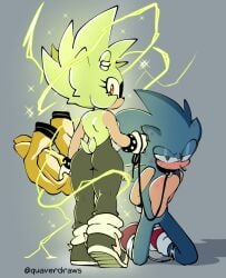 female furry male quavernsfw sonic_(series) sonic_the_hedgehog surge_the_tenrec