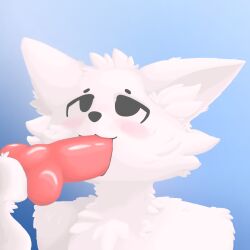 1boy :3 anatomically_correct_genitalia anatomically_correct_penis animal_genitalia animal_penis anthro anthro_femboy anthro_on_anthro balls blush blush_lines boykisser boykisser_(meme) canine_penis cock cock_in_mouth erection felid feline felis femboy fur furry furry_male furry_only gay genitals just_the_tip knot knotted_penis large_penis looking_at_another male male/male meme nekobias penis_awe penis_lick shading sheath silly_cat_(mauzymice) simple_background solo sucking_penis white_body white_fur