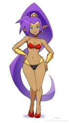 1girls arabian_clothes ass blush choker cleavage clothed clothing female genie hair harem_outfit harem_pants human humanoid jewelry large_breasts long_hair pants ponytail purple_hair revenantart shantae shantae_(character) smooth_skin