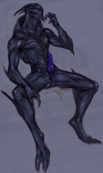 alien bioware black_body electronic_arts erection genitals hi_res looking_at_viewer male mass_effect meken nude penis purple_eyes purple_penis purple_tongue simple_background sitting solo spread_legs spreading teeth tongue turian unusual_anatomy unusual_genitalia