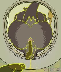 anthro anus ass backsack balls bodily_fluids body_hair butt_focus butt_hair echo_(game) echo_(series) echo_project feces genital_fluids genitals glans hi_res humanoid_genitalia humanoid_penis john_q._psychic low-angle_view male mammal motel_room mustelid otter peeing penis perineum pink_anus scat sitting solo sydney_bronson toilet toilet_use urine watersports worm's-eye_view
