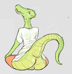 2017 anthro anus ass bottomless butt_focus clothed clothing crocodile crocodilian feazelbal female grey_background looking_at_viewer looking_back presenting presenting_hindquarters pussy raised_tail rear_view reptile scalie simple_background solo