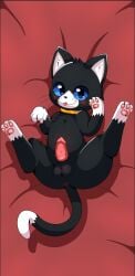 animal_genitalia animal_penis anus balls black_body black_fur blep blue_eyes blush cloudeon dakimakura dakimakura_design domestic_cat erection feet felid feline feline_genitalia feline_penis felis feral fur genitals legs_up looking_at_viewer lying male male_only mammal morgana_(persona) on_back pawpads penile_spines penis persona_(series) persona_5 solo tongue tongue_out tuxedo_cat whiskers