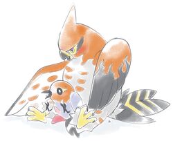 avian bird feral fletchling male nintendo penis pokemon pokemon_(species) size_difference slimefur talonflame tapering_penis video_games yaoi