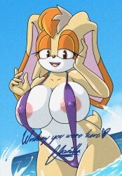 anthro areola big_breasts breasts clothed clothing digital_media_(artwork) english_text female fur hair hi_res lagomorph leporid mammal mature_anthro mature_female navel nipple_outline nipples one-piece_swimsuit open_mouth outside partially_submerged postcard rabbit sega sky sling_bikini smile solo sonic_(series) sonic_the_hedgehog_(series) sonicguru standing swimwear tail text vanilla_the_rabbit water