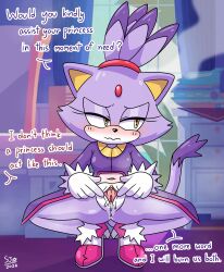 blaze the cat from sega