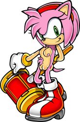 amy_rose edit edited_image edited_official_artwork hedgehog hedgehog_girl hedgehog_humanoid nude pink_hair pink_nipples pubic_hair