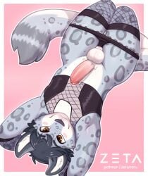 2024 anthro armwear balls black_clothing black_corset black_hair black_nose black_panties black_underwear blush border brown_eyes clothed clothing crotch_tuft erection felid femboy fishnet_armwear fishnet_clothing fishnet_stockings fluffy fluffy_tail fur genitals glans grey_body grey_fur grey_spots hair hands_behind_head high-angle_view humanoid_genitalia humanoid_penis looking_at_viewer looking_up lying male mammal markings novus on_back pantherine panties panties_down partially_clothed penis pink_background pink_glans pink_penis pupils simple_background skimpy smile snow_leopard solo spots spotted_body spotted_fur tail thick_thighs tuft underwear underwear_down white_balls white_body white_border white_fur white_inner_ear white_penis white_perineum wide_hips zeta-haru