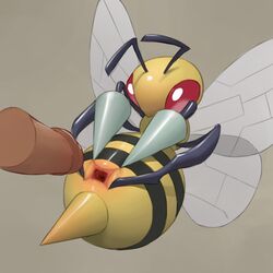 2d animal_genitalia animal_pussy arthropod_abdomen arthropod_abdomen_cloaca arthropod_abdomen_genitalia beedrill clitoris duo female feral full_color hi_res human human_on_feral insect_wings interspecies male mammal nintendo no_penetration penis pokemon pokephilia pussy solo_focus spread_pussy spreading straight video_games wings youjomodoki