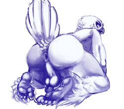 2015 5_toes all_fours anthro anus ass avian backsack balls bird claws dovne feathers hi_res looking_back male male_only monochrome nude owl penis perineum presenting presenting_anus presenting_hindquarters simple_background soles solo tail_feathers toe_claws toes white_background