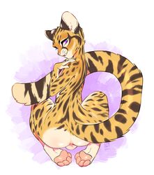 anthro anus ass backsack balls enjoipandas feline girly hi_res male male_only mammal nude ocelot pawpads simple_background solo solo_male white_background