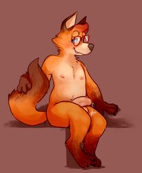 anthro balls barefoot blush canine character_request digitigrade erection eyewear fluffy fluffy_tail fox glasses glitter_trap_boy hi_res holding_tail looking_at_viewer male male_only mammal navel nipples nude original original_character penis precum_string shy signature simple_background sitting solo uncut