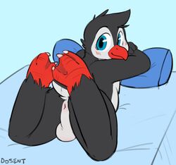 anthro anus ass avian backsack balls beak bed bird blue_eyes blush dosent looking_back lying male male_only penguin pillow simple_background solo