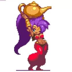 1girls animated animated pixel_art sakuemon shantae shantae_(character) solo tagme video