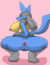 anus blue_fur breasts canine cula female fur looking_at_viewer looking_back lucario mammal nintendo nipples pokemon pokemon_(species) presenting pussy raised_tail red_eyes simple_background video_games yellow_fur