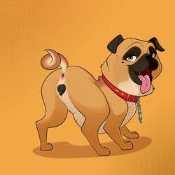 2017 animal_genitalia animal_pussy anus canine canine canine_pussy collar fangs female feral half-closed_eyes hi_res lonbluewolf looking_at_viewer looking_back mammal open_mouth precious_(the_nut_job) pug pussy solo teeth tongue tongue_out yellow_eyes