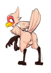 anthro anus ass avian balls beak bird dosent erection feathered_wings feathers looking_back male male_only martin_(dosent) nude penis presenting presenting_hindquarters simple_background solo tail_feathers white_background wings