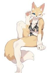 2024 3_toes 4_fingers anthro areola blue_eyes blush bra breasts canid canine clothed clothed_anthro clothed_female clothing countershade_torso countershading crotch_tuft crotchless_clothing crotchless_underwear cutout digital_media_(artwork) feet female fingers fox fur heart_symbol hi_res inner_ear_fluff kame_3 kemono looking_at_viewer mammal navel nipple_cutouts nippleless_bra nippleless_clothing nipples one_eye_closed panties side_view simple_background sitting smile solo tail toes tuft underwear underwear_only white_background yellow_body yellow_fur yellow_tail