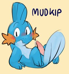 animal_genitalia anthro blush countershading dosent embarrassed erection furry hi_res looking_at_viewer lying male male_only mudkip nintendo on_back penis pokemon pokemon_(species) semi-anthro simple_background solo tan_background tapering_penis video_games