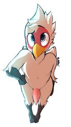 2016 anthro avian balls beak bird blue_eyes erection grey_eyes hand_on_hip hi_res high-angle_view kribbles looking_at_viewer looking_up male male_only martin_(dosent) nude penis signature simple_background smile solo standing tapering_penis white_background