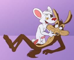 2boys anthro backsack balls canine coyote danger_mouse danger_mouse_(series) duo erection gay kneeling ladysomnambule looney_tunes male male_only mammal mouse penis rodent sex simple_background smile smooth_fur warner_brothers white_background wile_e._coyote yaoi