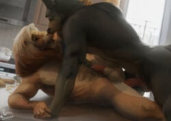 2017 ajf_(character) anal anal_sex animal_genitalia animal_penis anthro balls black_fur brown_fur canine canine_penis day digital_painting_(artwork) duo embrace erection feline fur german_shepherd inside interspecies kitchen knot lion lying male mammal missionary_position multicolored_fur nude on_back on_table open_mouth otterscience penetration penis pink_penis precum saiyentom sex table two_tone_fur watermark window yaoi