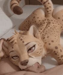 1boy 1boy1girl 1girls ai_generated animated anthro areolae balls ballsack bed bedroom big_balls big_butt big_penis blowjob butt cat cheetah duo felid feline felis fellatio female first_person_view furry gif huge_balls huge_butt huge_cock human inside loop looping_animation male male/female markrhey nipples oral penis penis_in_mouth penis_nursing pov realistic short_playtime shorter_than_10_seconds sucking sucking_penis suckling suckling_penis tan_body tan_skin yellow_body yellow_fur