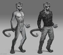 2015 anatomically_correct animal_genitalia anthro balls caraid clothed clothing digitigrade eyewear fossa jacket leather leather_jacket male male_only mammal sheath solo sunglasses