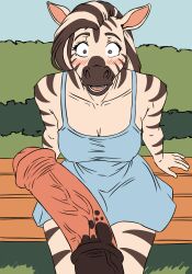 anthro big_breasts big_penis blush breasts clothing dress duo equid equine female first_person_view genitals hair hi_res johnny-wolf long_hair looking_at_genitalia looking_at_penis male male/female mammal park penis penis_awe shocked sitting sundress uncensored zebra