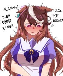symboli rudolf (umamusume) from umamusume by joeneko26
