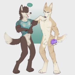 2017 anthro balls brown_fur bryce_(lonewolfhowling) canine clothed clothing dingo foreskin fur humanoid_penis male mammal nude penis sconeo smile spencer_(lonewolfhowling) uncut water wet yaoi