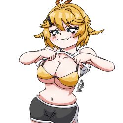 dokibird from indie virtual youtuber