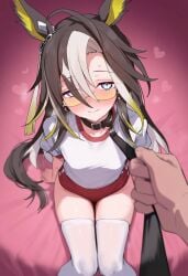 dream journey (umamusume) from umamusume