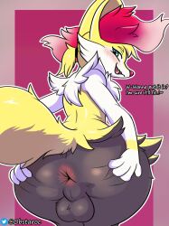 braixen from nintendo