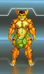 abs anthro balls biceps big_balls bulge clothing flaccid huge_balls hyper hyper_balls hyper_muscles hyper_penis lombax male_only mammal muscular navel navel_piercing nipples pecs penis piercing ratchet_(ratchet_and_clank) ratchet_and_clank rocket_(artist) smile translucent transparent_clothing underwear vein veiny_penis video_games