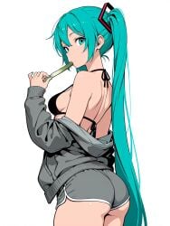 hatsune miku from vocaloid by onion