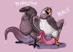 2016 animal_genitalia animal_penis avian beak bending_penis big_penis bird corvid crow cum duo erection feathered_wings feathers feral huge_cock hyper hyper_penis male open_mouth penis pigeonhole puffin simple_background smile standing tapering_penis vein veiny_penis what wings