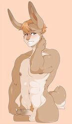 abs bashful big_ears big_eyes blush brown_fur cute embarrassed erection fluffy fur grey_eyes hair half-erect hand_on_neck hand_on_penis lagomorph male male_only mammal mishikoosan_(artist) muscular muscular_arms nepomuk_(character) nipples penis pubes shy smile solo standing