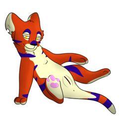 3_toes alpha_channel anus bedroom_eyes blue_fur fan_character feline female feral fur half-closed_eyes kougra mammal max_the_kougra neopets orange_fur pawpads pink_pawpads pussy seductive solo tan_fur toes yellow_eyes