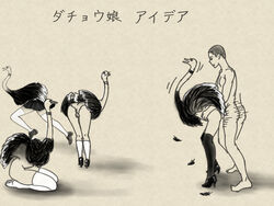 1boy 1boy1girl bird from_behind legs monochrome mutant ostrich panties sex zoophilia