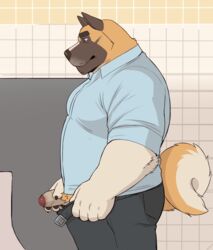 2016 adios akita anthro bathroom belt black_bottomwear black_clothing black_nose black_pawpads blue_topwear brown_eyes brown_skin canine claws erection eyebrows fluffy fluffy_tail hand_on_penis humanoid_penis invalid_tag looking_down male male_only mammal multicolored_skin multicolored_tail open_pants partially_retracted_foreskin pawpads penis pose side_view simple_background slightly_chubby solo standing tan_tail two_tone_skin uncut urinal white_skin white_tail