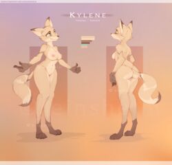 anthro breasts canine einshelm female fennec fox fur furry kylene mammal model_sheet nipples nude pussy solo standing watermark