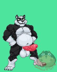 2016 animated anthro balls bear big_penis black_skin brown_eyes erection flexing green_background hands_on_hips humanoid_penis hungothenomster looking_down loop male male_only mammal multicolored_skin musclegut muscular panda penis pink_penis pixel_art pose simple_background slightly_chubby solo white_skin